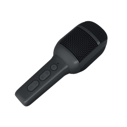 Wireless Microphone with Built-in Speaker [PARTY COLLECTION]