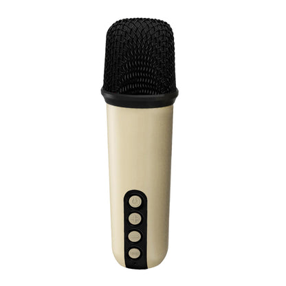 Wireless Speaker with 2 microphones [PARTY COLLECTION]