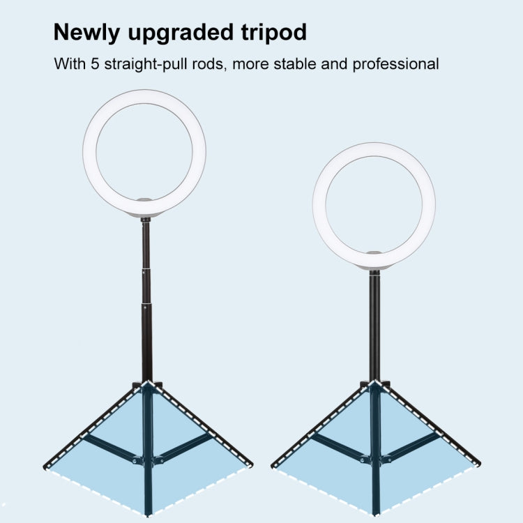 Supporto per treppiede PULUZ da 1,65 m di altezza per kit di trasmissione dal vivo con luce video di vlogging, 1.65m Tripod