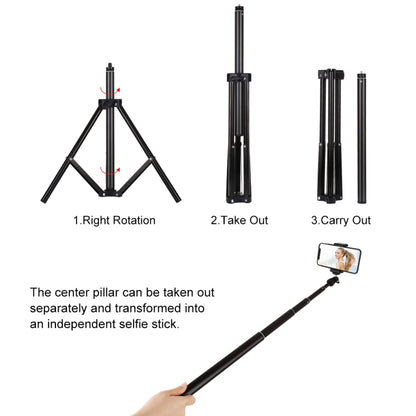 Supporto per treppiede PULUZ da 1,65 m di altezza per kit di trasmissione dal vivo con luce video di vlogging, 1.65m Tripod