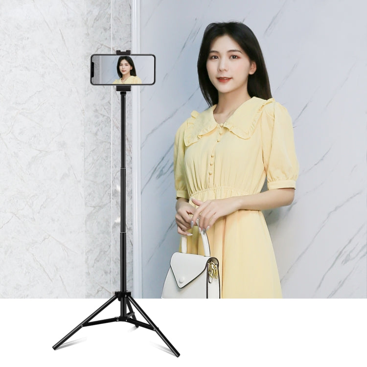 Supporto per treppiede PULUZ da 1,65 m di altezza per kit di trasmissione dal vivo con luce video di vlogging, 1.65m Tripod