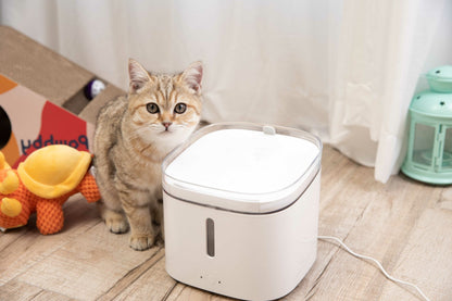 Dispenser acqua smart Pawbby